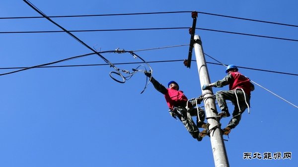 佳木斯供电公司：高温下的抢修