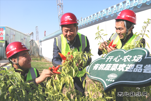 “开心农场”为“北京蓝”添蓝