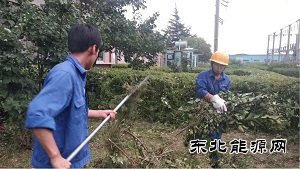 蒲白热电公司：人性化管理显担