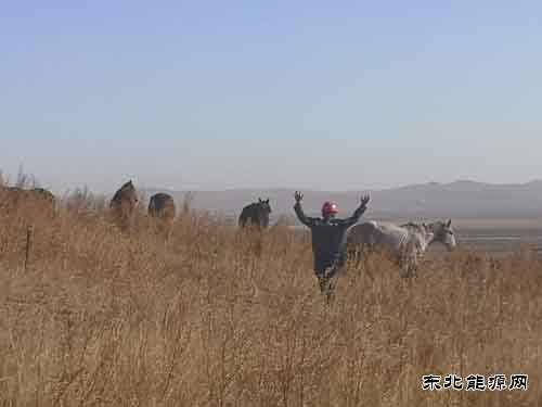 大唐呼伦贝尔亿兆体育公司：抗疫36小时