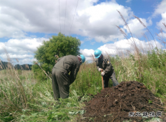 现场新闻 “亿兆体育的心总算是踏实了”