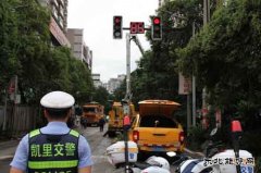 凯供城区分局：政企联手合力啃下树障“硬骨头”助亮剑保安全