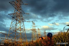 佳木斯供电公司：开展红外测温 确保线路安全