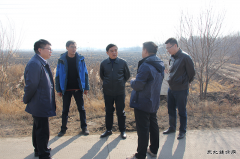 兴凯湖电业局：陈殿军局长与农垦牡丹江管理局领导深入农场现场办