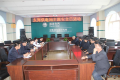 兴凯湖电业局：陈殿军局长参加东海供电主题安全日活动