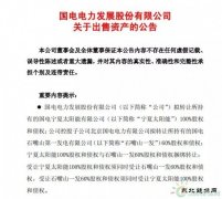 1元收购，背负18亿债务！谁将接盘国电电力？
