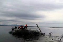 通河供电公司：抗洪抢险保供电 风雨无阻电力人