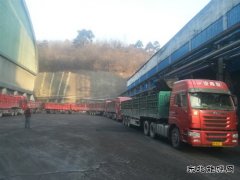 蒲白建庄矿业：日销量创新高 年度强势开局