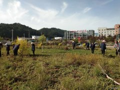 蒲白建庄矿业：开展矿区绿化打造美丽矿山