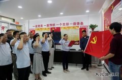 太康县供电公司：重温入党誓词  庆祝党的生日