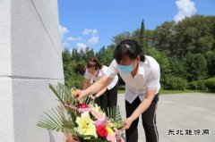 黑龙江大庆肇州县电业局有限公司党委深入开展主题党日活动