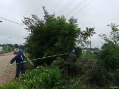 兴凯湖电业公司：盛夏全面清理树障 确保迎峰度夏、防汛安全供电
