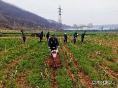 蒲白朱家河煤矿新亿兆体育产业中心：生态农业承包记