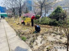 陕煤陕北矿业涌鑫公司：添绿抖尘  矿区处处展“新颜”