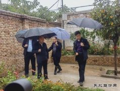蒲白中心社区：以雨为令，防汛抢险进行时