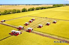 兴凯湖供电分公司：全力而为保秋收供电 确保粮食颗粒归仓