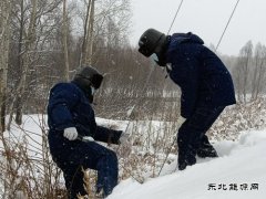 国网松岭供电公司：践行二十大精神 “一切为民”服务葆初心