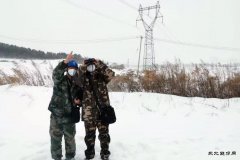 佳木斯供电公司：线路特巡不放松 春节保电在行动