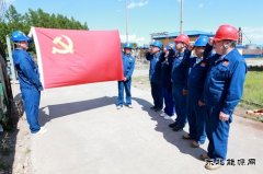 兴凯湖供电公司：“党建+工程”激活工程建设“动力引擎”