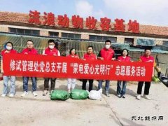 电力志愿服务 温暖山城群众