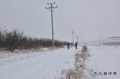 国网巴林左旗供电公司：雪后巡线保障供电安全