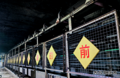 中能袁大滩矿业:标准化矿井“变形记”