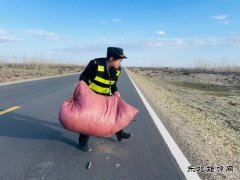 哈巴河执法大队：及时清除路面杂物 确保公路安全畅通