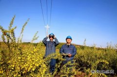 国网敖汉旗供电公司：积极备战迎峰度夏