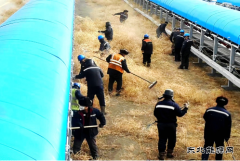 迎风战沙 打响除草“阻击战”