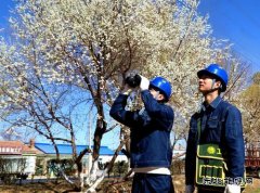 国网敖汉旗供电公司：青山灼灼巡线早 护航春灌保电忙