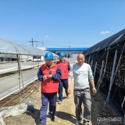 国网牡丹江东宁市供电公司：服务菌农 助力木耳产业用电安全
