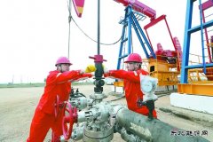 辽河冷家油田：稠油冷采 节能增产