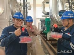 大唐葫芦岛热力公司：开出高温炙烤应对“凉”方