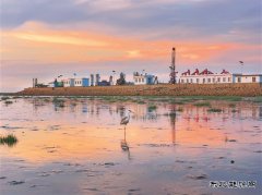 辽河油田：鹭栖 “金海”