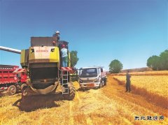 新疆销售塔城分公司全力服务 麦农收割无“油”虑