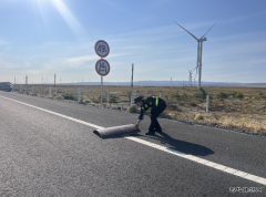 哈巴河执法大队：精细化巡查筑牢辖区公路安全防线